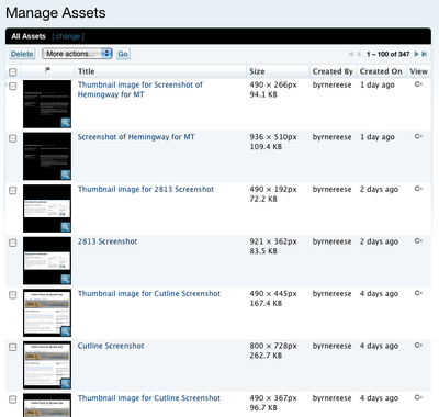 Screenshot of Manage Assets